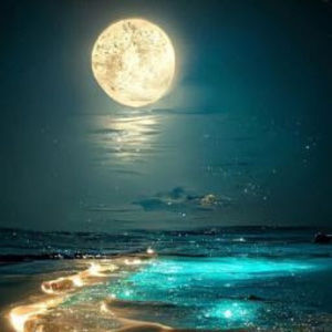 Meet your Posher, Jaycee